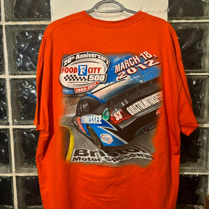 2012 Motor Speedway Tee